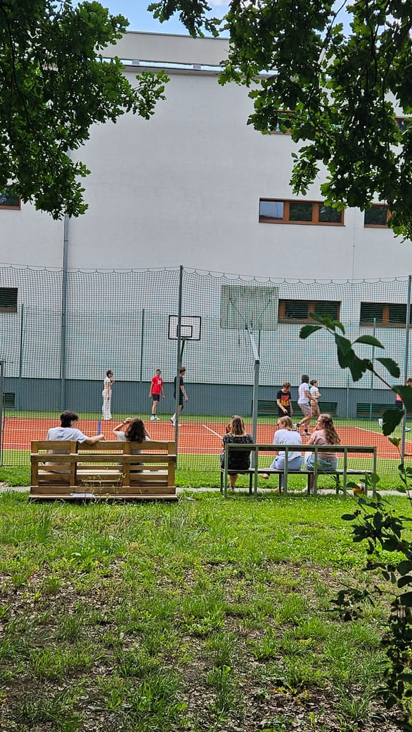 Sports court, blooming lilies, and building facades in Prešov