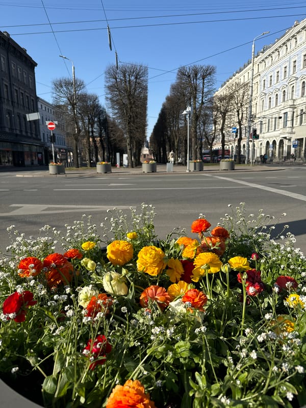 Morning scenes captured around Latvian National Opera in Riga