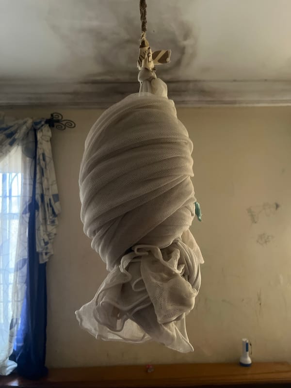 Daily life scenes documented across Gura Top Nigeria markets