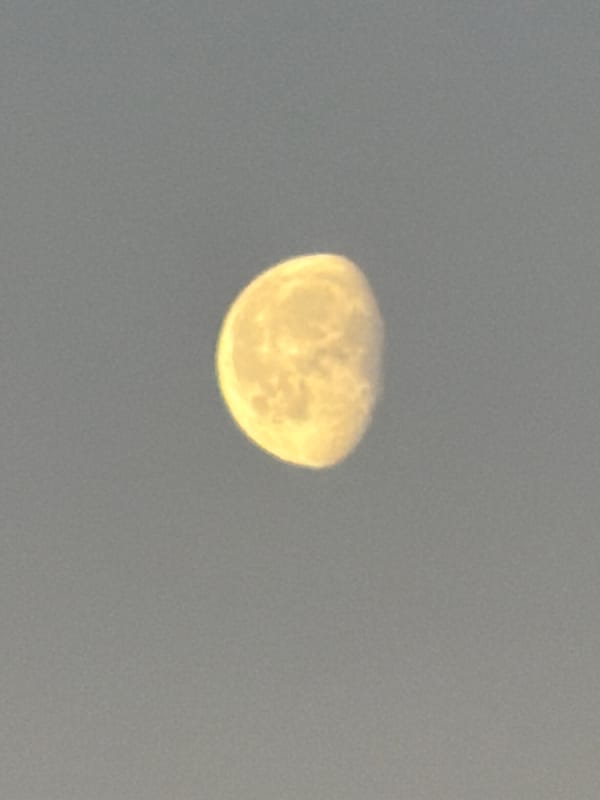 Gibbous moon observed in hazy sky over Luxembourg