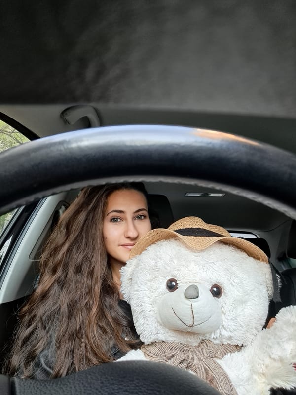 Woman spotted with large teddy bear inside car