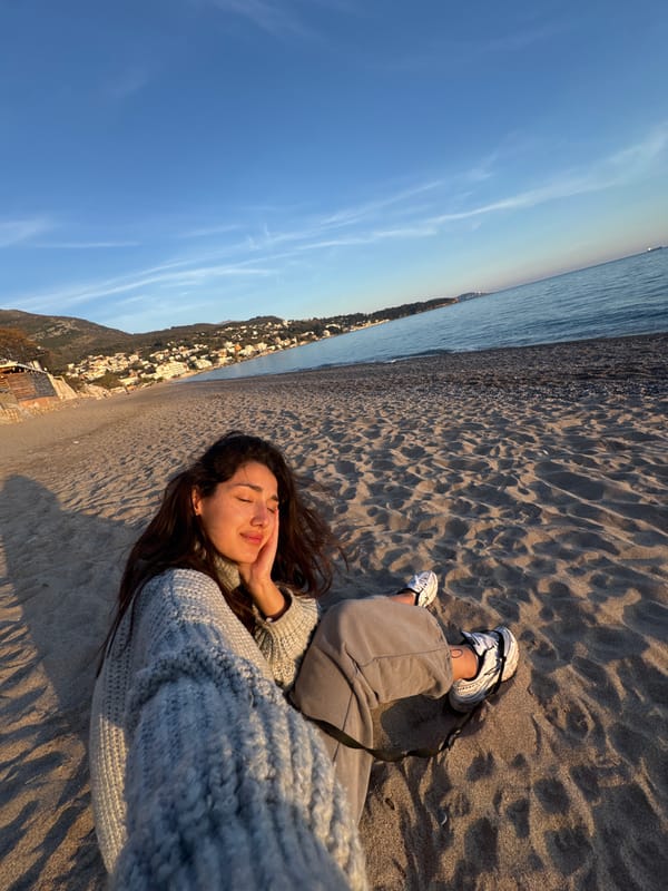 Woman and poodle enjoy sunset moment on Montenegro beach