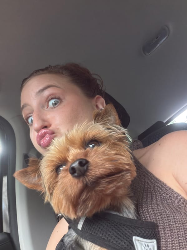 Selfies with a Yorkie and outdoors in Saint Petersburg