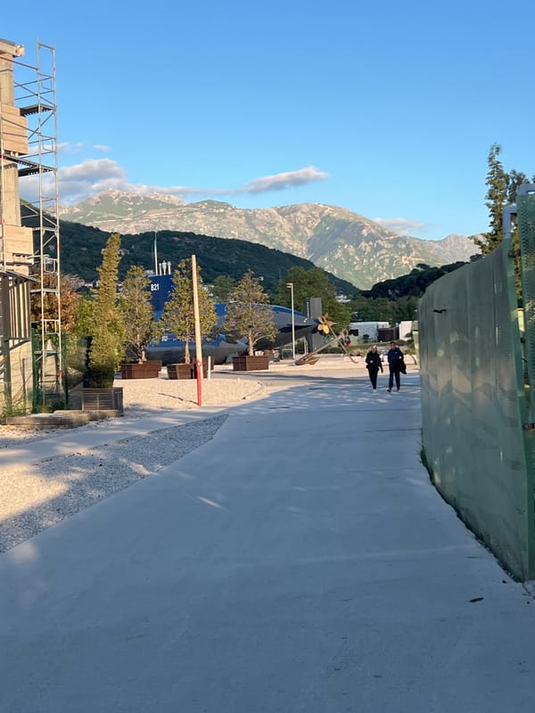 Pedestrians spotted near fiber elephant sculpture in Montenegro village