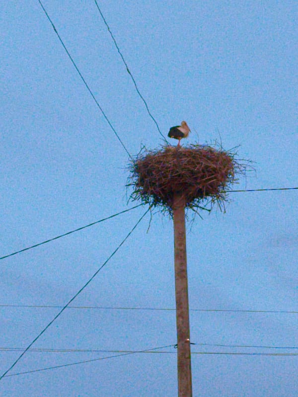 Rural Ukrainian village life documented during evening hours