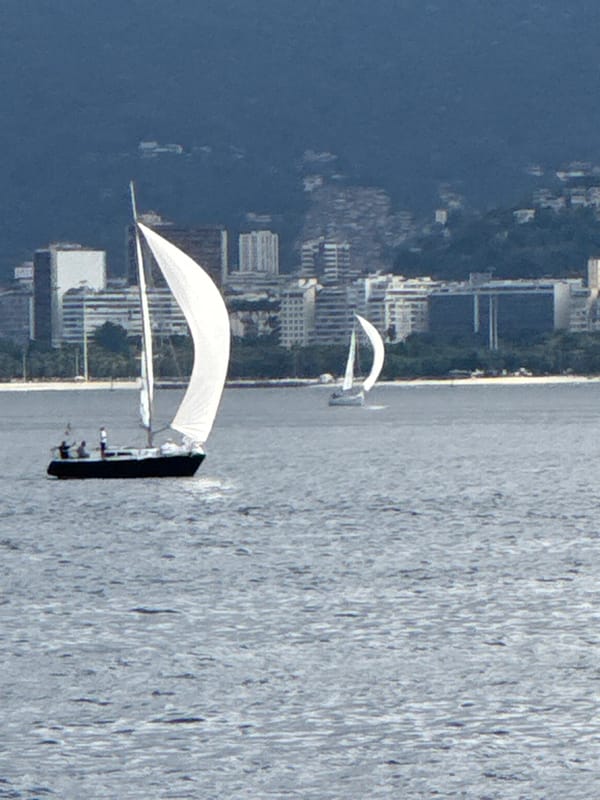 Sailboats racing on Guanabara Bay off Niterói's skyline