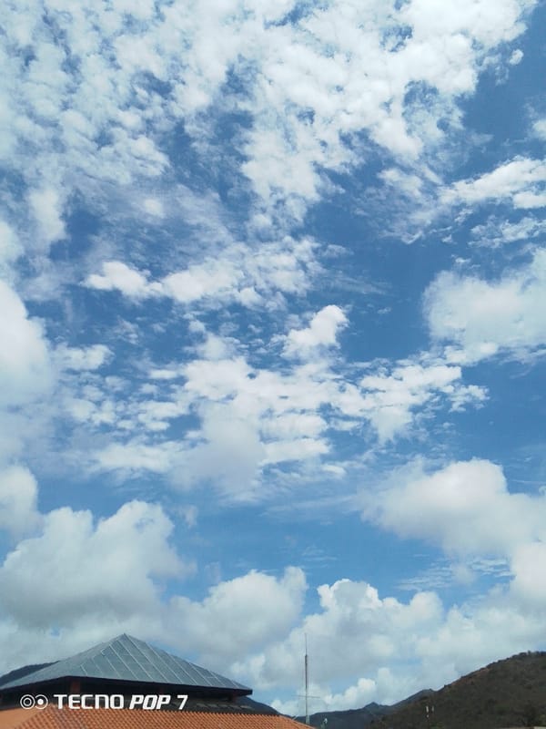 Partly cloudy skies observed over Pedro González, Venezuela
