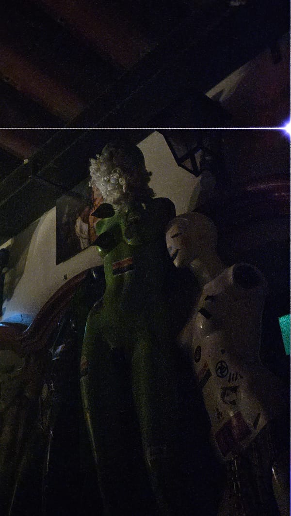 Mannequins with Argentine flag spotted in Buenos Aires retail store