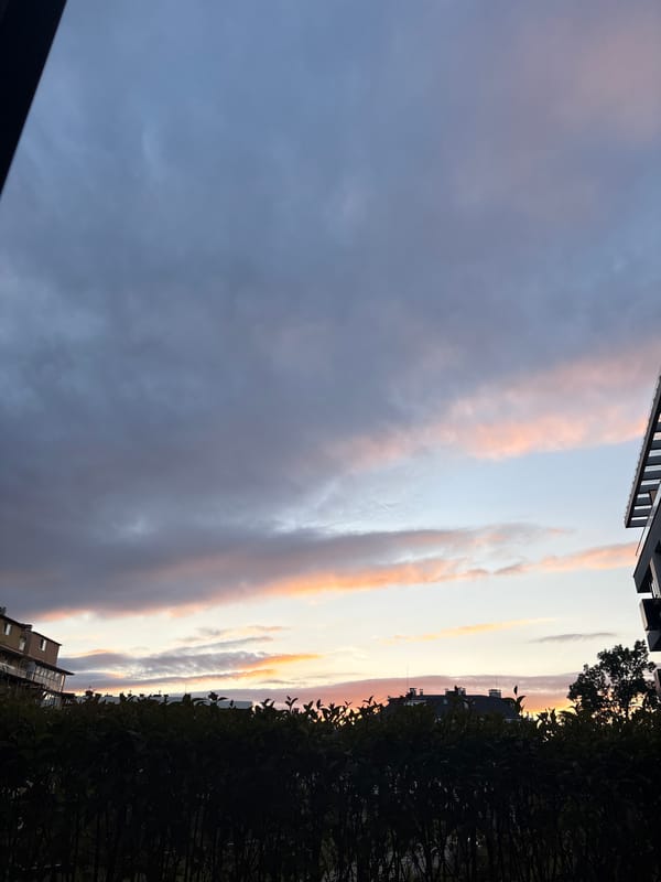 Sofia residents document sunset skies and gym activity
