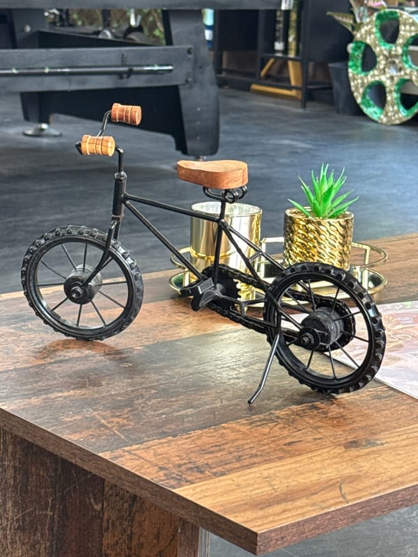 Miniature metal bicycle on a wooden table in Sankt Wendel