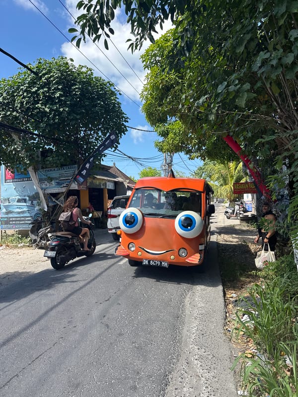 Tourist captures coconut harvest scenes in Nusa Penida, Indonesia