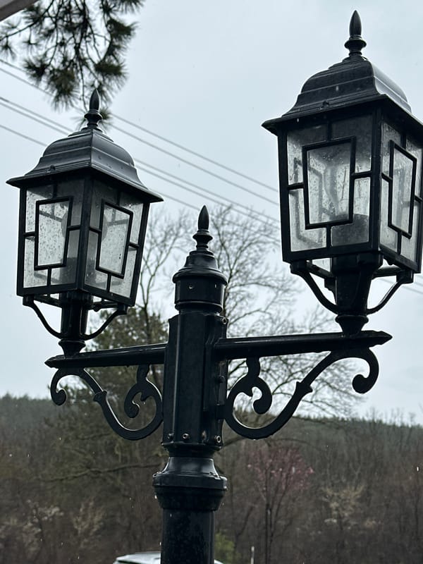 Spring morning captures ornate lampposts and flowers in Targovishte