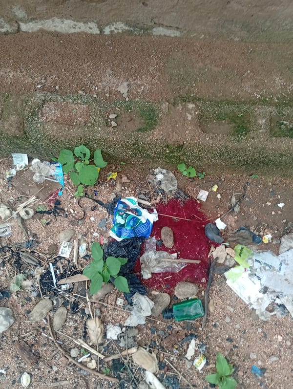 Street scenes and domestic interiors in Jalingo amid signs of disturbance