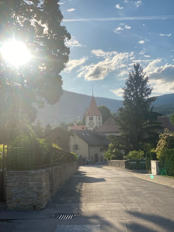 Pastoral scenes documented in Swiss village during sunny afternoon