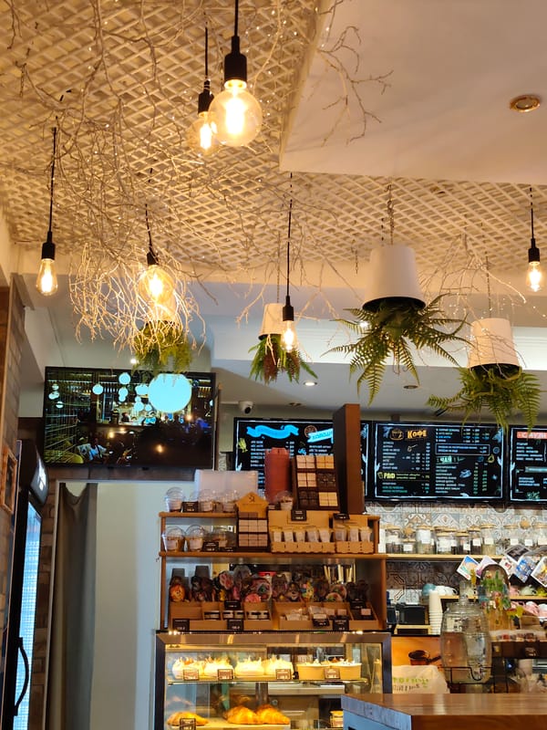 Sochi café interior with lattice ceiling and food display