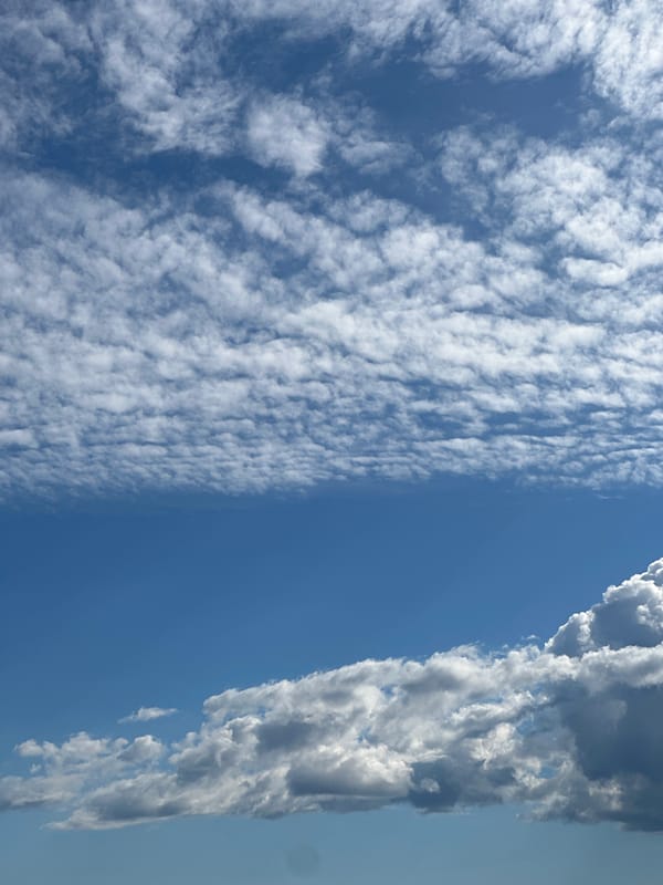Afternoon at home: meal prep, sky watching, and toy trucks