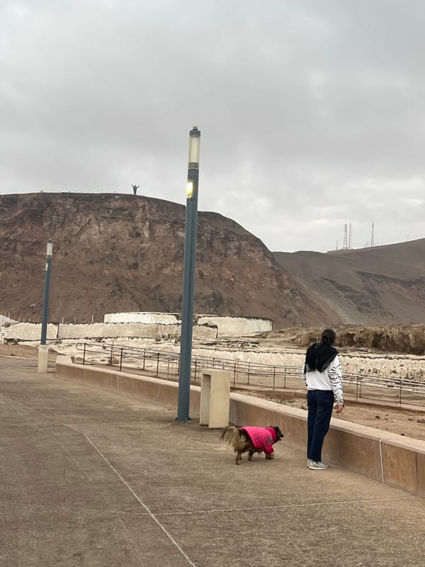 Evening scenes around Arica's Morro and harbor