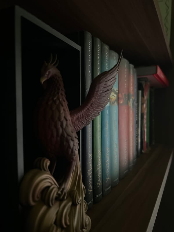 Plovdiv resident showcases diverse pop culture collectibles at home