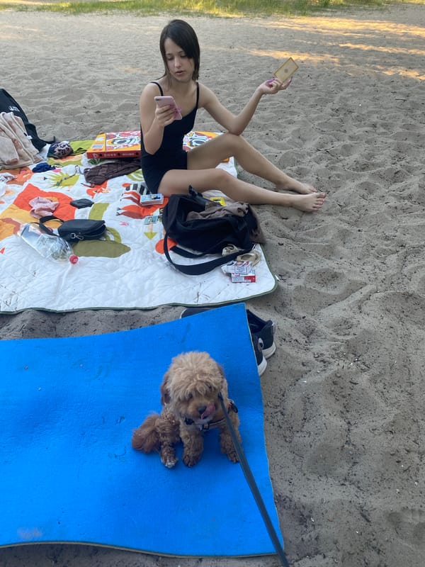 Lazy afternoon at a Dnipro beach with a toddler and dog