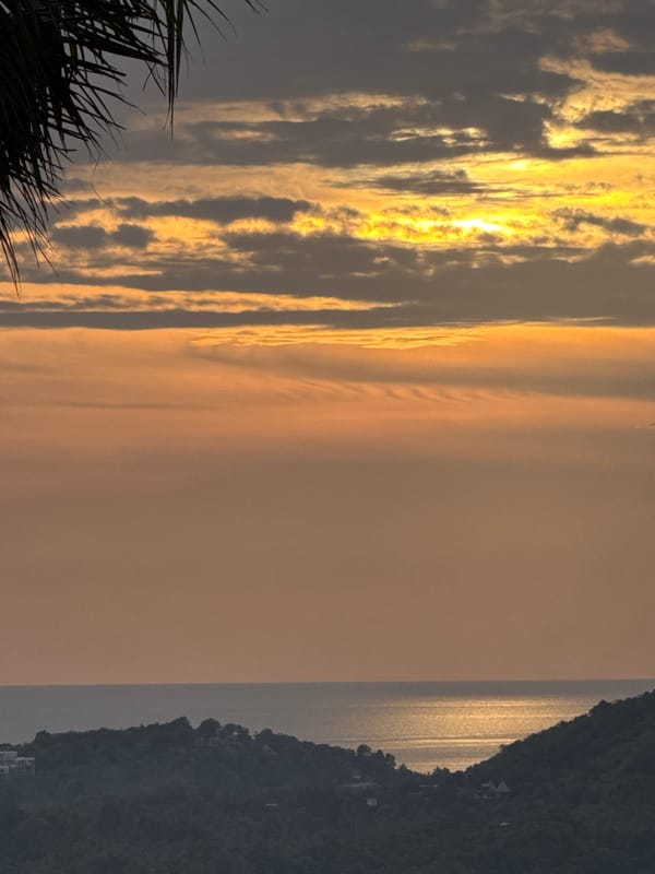 Golden-hour views over Ko Pha-ngan's tropical hills and ocean
