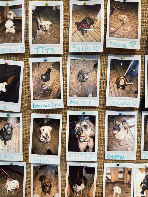 Social media user documents daily life in Tunbridge Wells