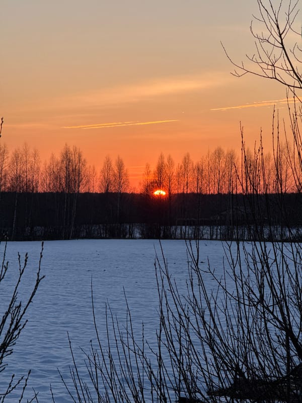 Winter sunset captured over frozen water in Bol'shie Mkhi