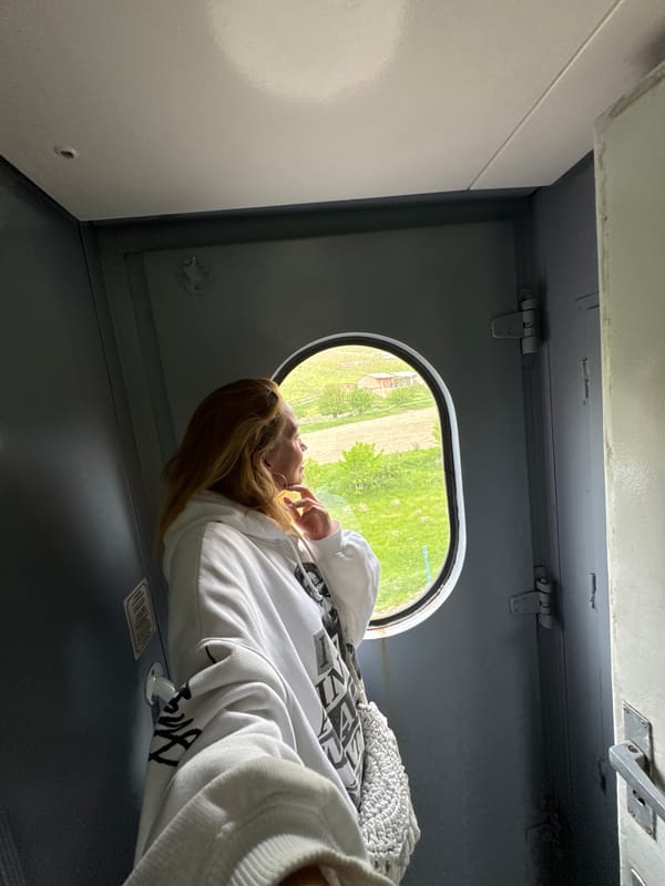 Train passenger gazes at rural landscape in Uzbekistan