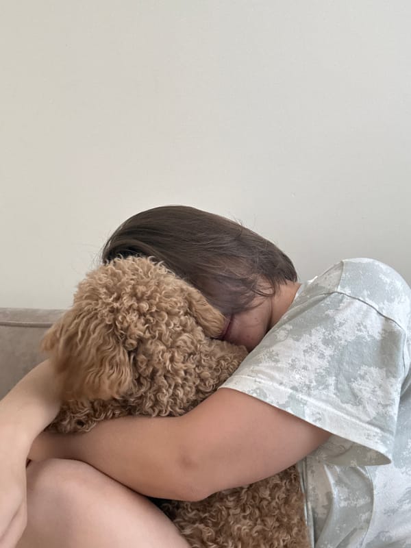 Woman and poodle share quiet morning moments in Pervomaysky