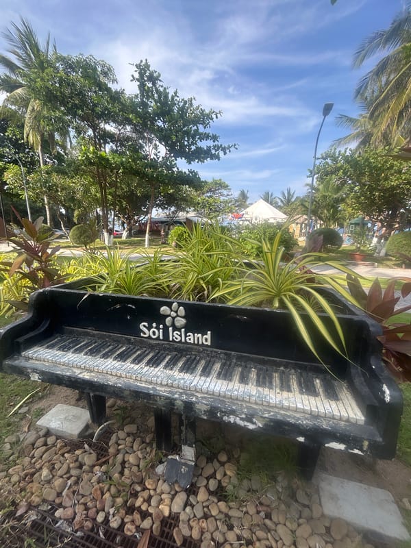 Converted piano planter, totem poles spotted in Nha Trang park