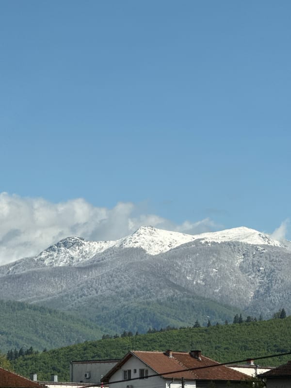 Spring day captured in Berkovitsa: mountain views, playful dog