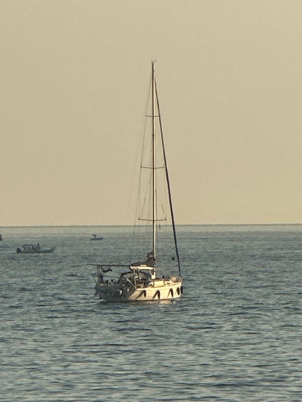 Boats, rocks, and a cat on the Budva waterfront