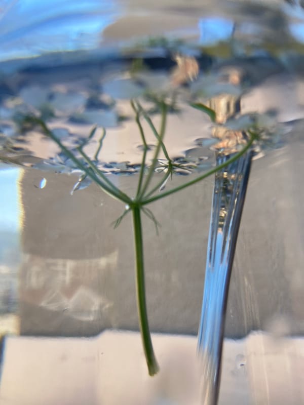 Elaborate outdoor table setting documented in Budva, Montenegro