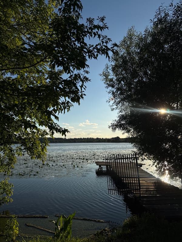 Lakeside calm meets city streets on a sunny afternoon