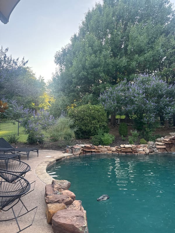 Late-night backyard party documented in Southlake, Texas