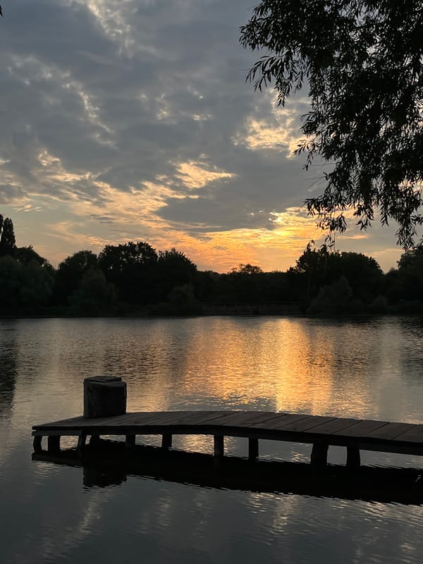 Quiet lakeside at dusk, golden light and still water
