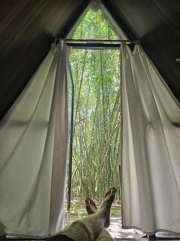 Tourist documents early morning bamboo eco-lodge stay in Vietnam
