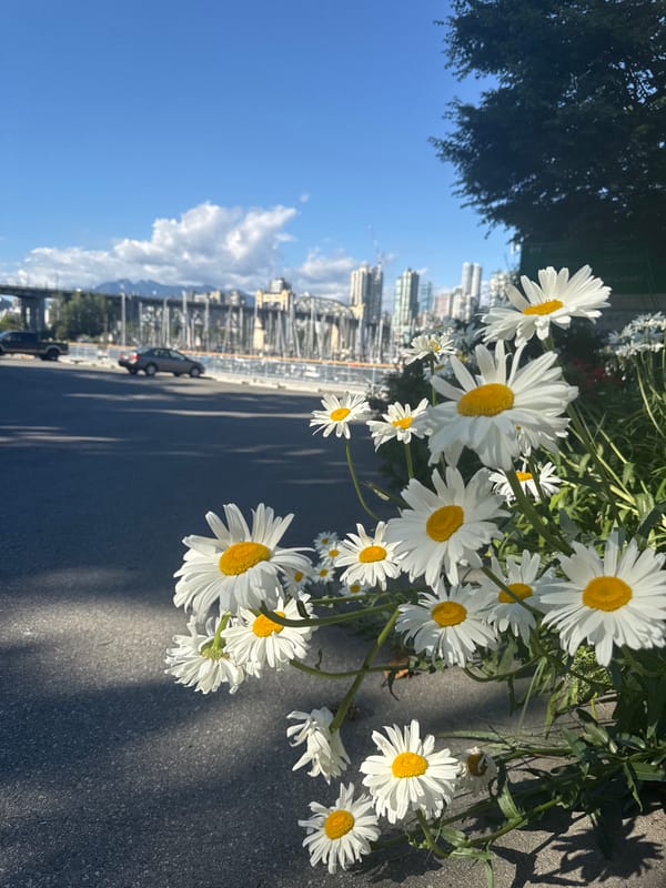 Sunny afternoon at False Creek Fishermen's Wharf, Vancouver