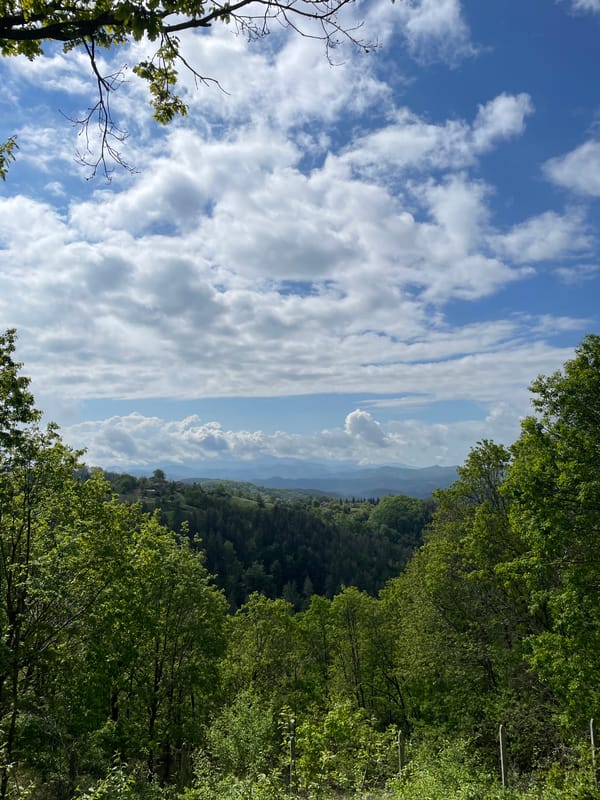 Morning mountain views and celebration remnants captured in Presoka