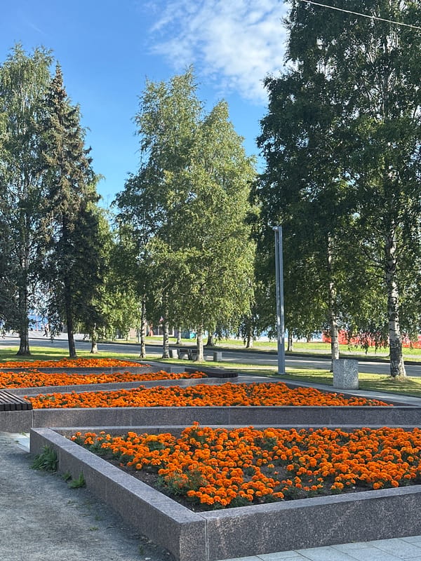 Summer morning life in a Petrozavodsk park