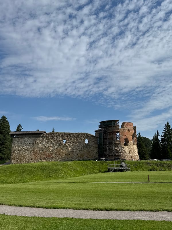 Storks nest atop Vana-Vastseliina Castle's crumbling towers