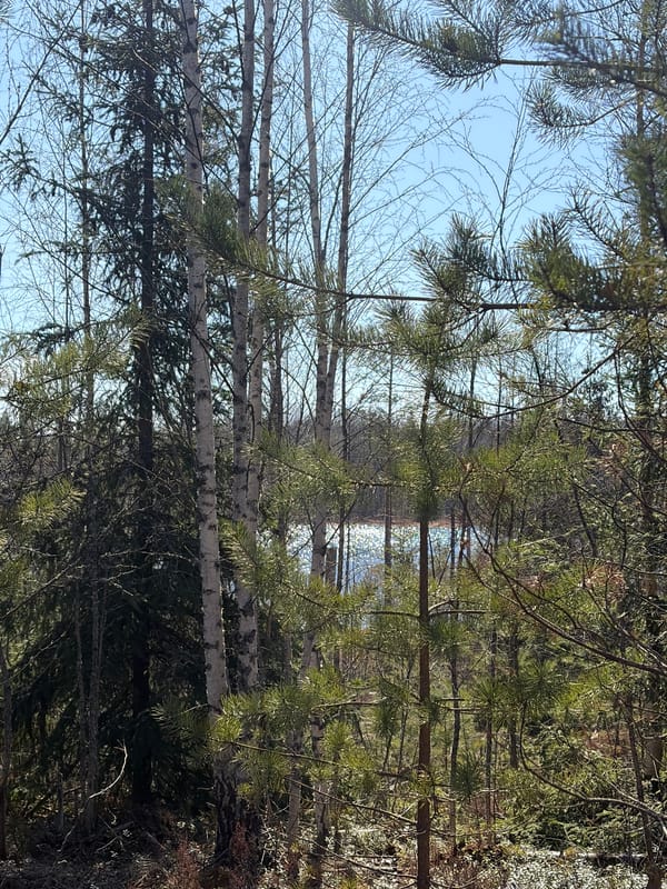 Woman enjoys spring walk through Lake Peski forests, Russia