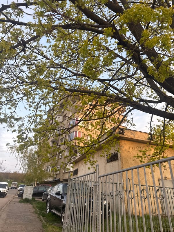 Early morning street scenes documented in Montana, Bulgaria
