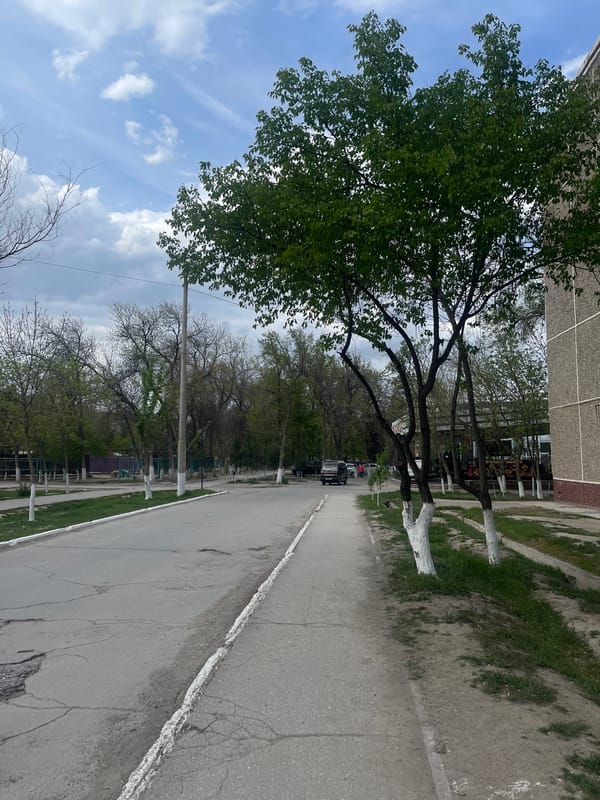 Street scenes captured in Navoiy City, Uzbekistan