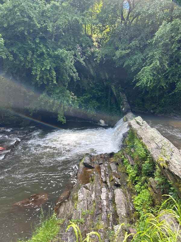 Witnesses document forest waterfall with rainbow, surrounding residential area