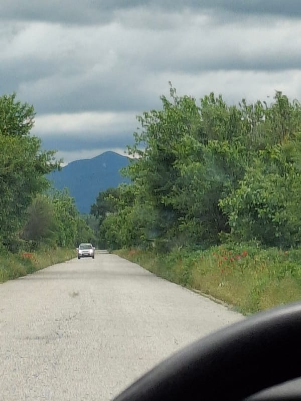 Mountain road scene documented near Dalbok Izvor, Bulgaria