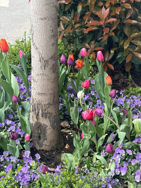 Woman photographed resting on rug in Belgrade home