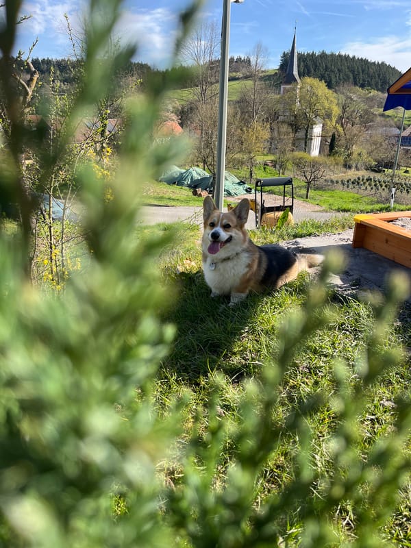 Sunday morning outdoor moments captured in Gangloff, Germany