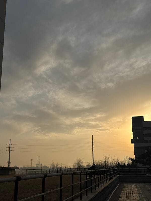 Morning street life documented in Zhongtun, China