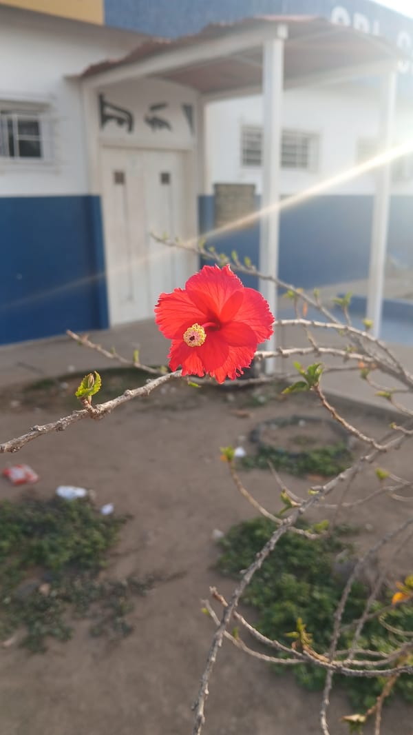 Ordinary moments documented in Barcelona, Venezuela morning scenes
