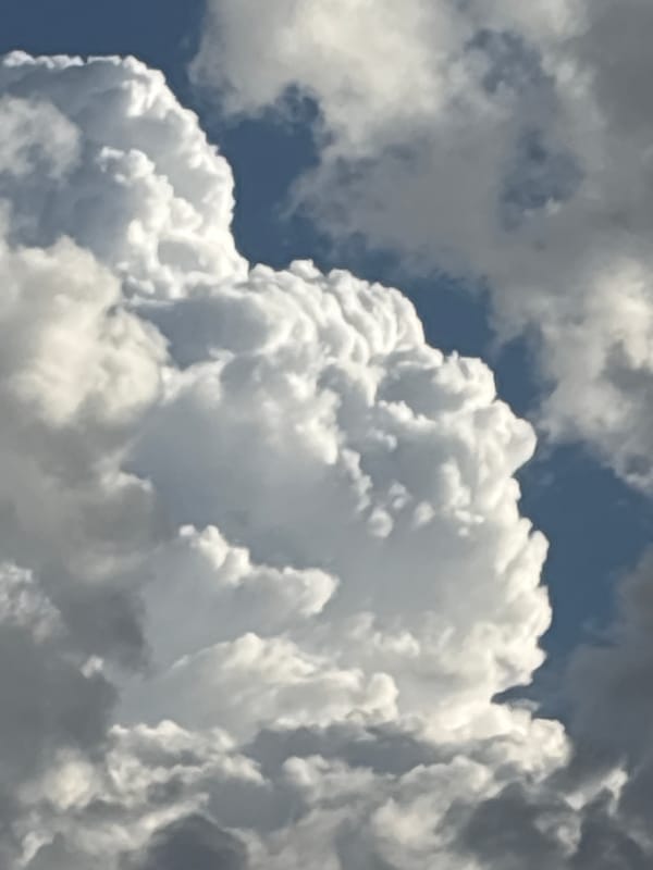 Quiet afternoon documented in Plovdiv: pets, plants, clouds